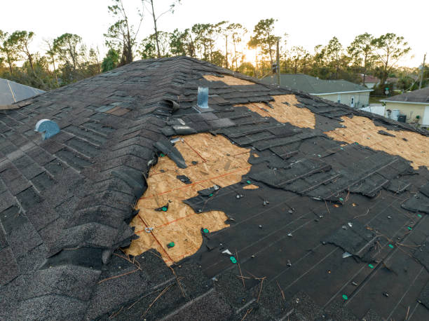 Best Roof Ventilation Installation  in Waynesboro, VA