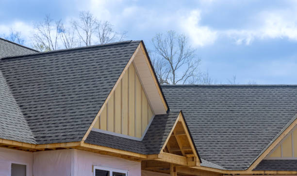 Best Steel Roofing  in Waynesboro, VA