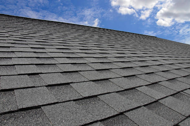 Best Roof Waterproofing  in Waynesboro, VA