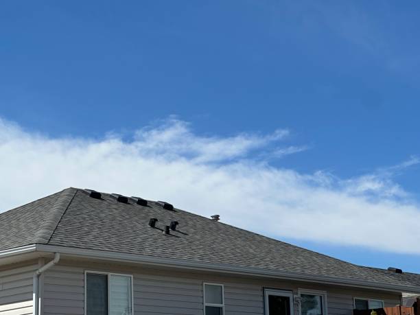 Best Solar Panel Roofing Installation  in Waynesboro, VA