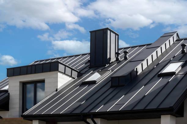 Best Skylight Installation and Repair  in Waynesboro, VA